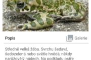 Screenshot_2020-06-03-21-08-19-751_cz.osu.biorecords.HerpetoHunter